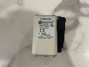 NEW Bussmann Square Body High Speed Fuse 160A 1250V  170M3393 - Picture 1 of 5