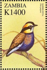Zambia #Mi1240 MNH 2000 Birds Malayan Banded Pitta [900h]