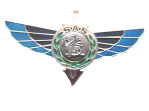 COMMANDOS PARACHUTISTES BREVET 1° RPIMa RAPAS SAS 2° NIVEAU (RARE TRANSLUCIDE) - Picture 1 of 2