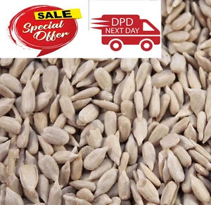 20 KG Sunflower Hearts Wild Bird Food Dehulled Kernels Bakery Top Grade Seeds - Picture 1 of 4