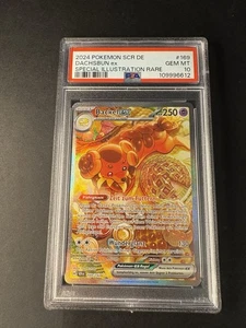Backel ex 169/142 (English) | Pokemon Card Stellar Crown | PSA 10 GEM MT - Picture 1 of 2