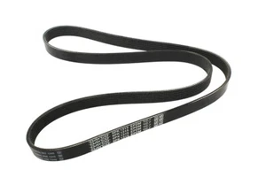 BELT - ACCESSORY DRIVE - Foto 1 di 3
