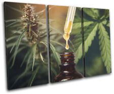 Marijuana Cannabis Dope Green Hobbies TREBLE CANVAS WALL ART Picture Print