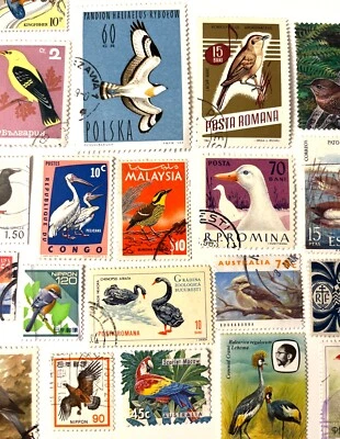 25 Stamp BIRD Fun Pack // Random Lot of 25 Premium World Bird Stamps - Image 1 of 3