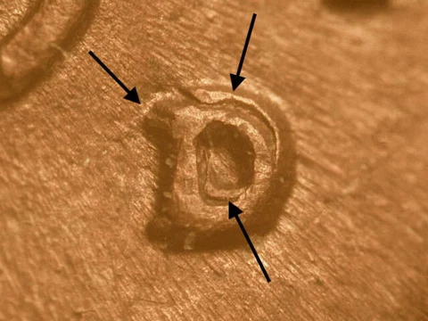 1949-D RPM#1 D/D/D NE & South  FS-501 Lincoln Wheat Cent Penny~Nice XF Brown Cover