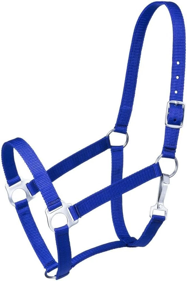 Economy Yearling Halter - image 1 of 1