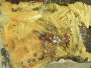 ALLANPRINGIT aus Deutschland * TYP LOKALITÄT EXEMPLAR * 1,1 cm  - Bild 1 von 3