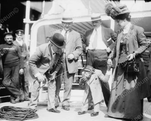 Monkey In Suit Smokes Cigar! 1900s 8x10 Reprint Of Old Photo - Picture 1 of 1