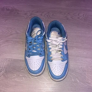 Size 8 - Nike Dunk Low University Blue - Picture 1 of 7