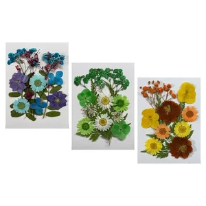 Mixed Pressed Dry Flowers Leaves Dried Flowers for Vase Bouquet Nails Pressed - Picture 1 of 13