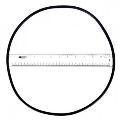 Astral 4404210302 O-Ring for Filter Tank - Image 1 of 3