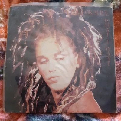 DEAD OR ALIVE WHAT I WANT 7" VINYL SINGLE SIGNED BY PETE BURNS + BAND UNIQUE - Image 1 of 4