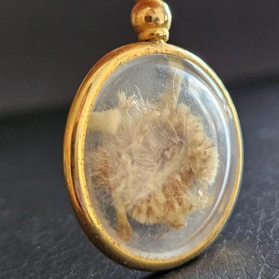 Alter Reliquiar Anhänger Edelweiß getrocknet Reliquie Blume alt - Bild 1 von 4