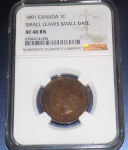 CANADA Canadian 1891 NGC XF 40 BN ONE CENT Small Leaves Small Date Graded Coin - Picture 1 of 4