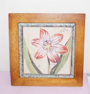 Impresión artística de lirio asiático vintage Arnie P Fisk azulejo de cerámica enmarcado - Imagen 1 de 6