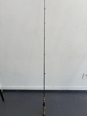 Berkley LIGHTNING ROD LRV 16-6’ 6’ 1PC IM6 Graphite Casting Rod 10-25lbs Line - Image 1 of 4