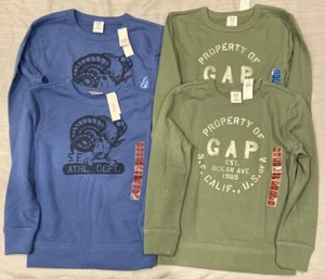 Gap Boy's Terry Lined Graphic Print Crewneck Pullover Sweatshirt - Picture 1 of 22