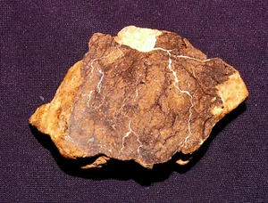 Stein-Meteorit Al Haggounia 001, Endstück, poliert, Heilstein, 55x39x17mm 47,5g - Afbeelding 1 van 9