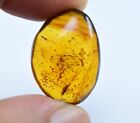 Dominican Amber Cabochon Green Stone Natural Authentic 27x19x9mm (3.0 g) a1729