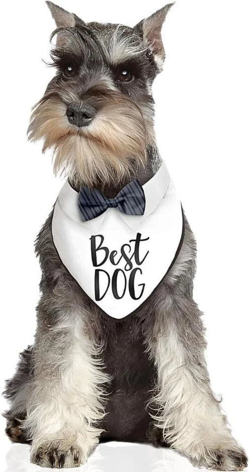 Elegante mejor bandana para perros, 14,5" x 10,25" - 1 pieza | Tela Premium Blanco y Negro Foto 1 de 1