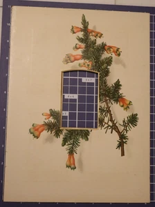 Antique Edwardian/Victorian Photo Album Mat 8x11 Frame Pine Fir blossom flower - Picture 1 of 5