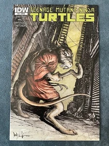 Teenage Mutant Ninja Turtles #23 2014 Cover RI IDW Comic TMNT 1:10 Variant VF/NM - Picture 1 of 4