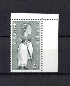 South Georgia 1969 Pinguin 1 Pound definitive stamp (Michel 24) nice MNH - Picture 1 of 2