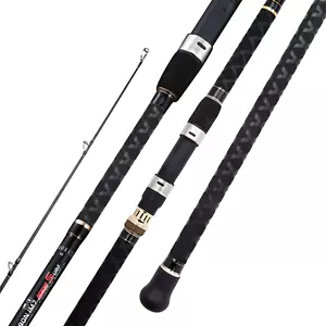 BERRYPRO Surf Spinning Fishing Rod Graphite Spinning Rod (9'/10'/11'/12') - Picture 1 of 12