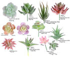 12pcs Artificial Succulents Fake Faux Plants Unpotted Home Garden Office Decor