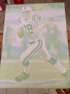Peyton Manning signed autographed canvas NFL Indianapolis Colts GA Global coa - Picture 1 of 7