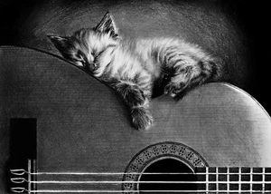 Carta di Riso per Decoupage Album Artigianale Gatto 2046 - Foto 1 di 2