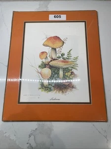 Vtg 1970's Jim Oliver print Mushrooms Wall Hanging Decor 14”x17” - Picture 1 of 2