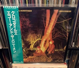 Original 1st 1980 JAPAN ECHO & THE BUNNYMEN Crocodiles LP - Picture 1 of 2