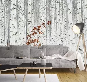 White trees wallpaper 151x102 inch PREMIUM birch forest photo wall mural - Picture 1 of 8