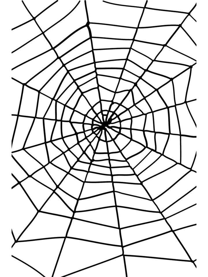 Spider Web & Spider Halloween Fancy Dress Party Decoration Prop - Image 1 of 1