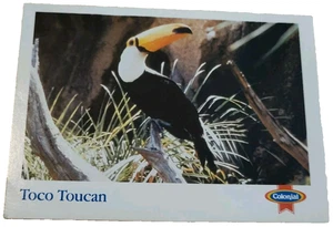 Colonial Bush Gardens Tampa Florida Trading Card Toco Toucan (H5 - Picture 1 of 2