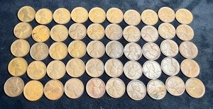 50 Coins 1909 P LINCOLN WHEAT CENT 1c PENNY ROLL VG Very Good ESTATE 1254 - Picture 1 of 8