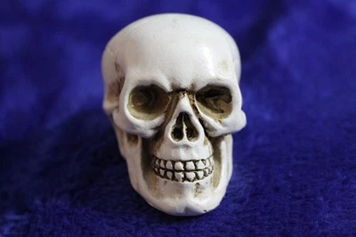 Skull Gear Shift Knob Handle Accessory Necker Knob Manual Hot Rod - Image 1 of 4