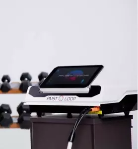 24700 Gauss Pemf Pulsed Electromagnetic Field Therapy Device for Pain Relief - Picture 1 of 10
