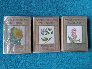 Wayside & Woodland Blossoms, première, deuxième, troisième série, toutes 1930 nouvelles éditions