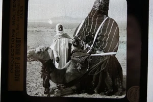 FILLETTES ARABES DANS UN HASSOUR CHAMEAU PHOTO PLAQUE DE VERRE MOLTENI AFRIQUE - Picture 1 of 1