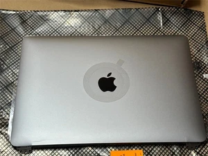 Apple 661-12586 13" Macbook Air 2019 A1932 Clamshell Top Display READ UNTESTED - Picture 1 of 8