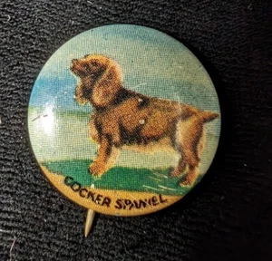 Vintage 1930s Cocker Spaniel Dog Pin Back Geraghty & Co. 1 Pin From A Set Of 35 - Picture 1 of 3