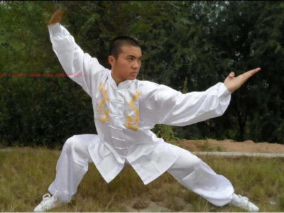 Kids Adults Tai Chi Satin Silk Clothing Kung Fu Wushu Martial Arts Dragon Suit - Image 1 of 4