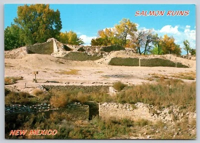 Salmon Ruins Farmington New Mexico Postcard UNP 6x4 Ancient Indian Site - Image 1 of 2