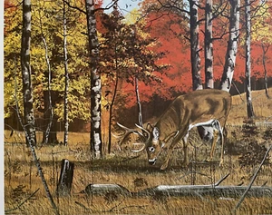 Limited Edition Print by CHARLES DENAULT - 183/450 (17" x 27") with COA - Picture 1 of 5