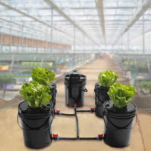 Set of 5 Deep Water Culture DWC Hydroponic Grow System Kit 5 Gallon Round Bucket - Picture 1 of 24