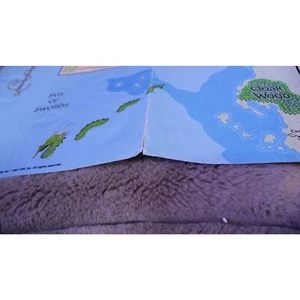 Forgotten Realms Dungeons & Dragons: Fields of the Dead Map (Good Condition) - Picture 1 of 2