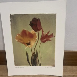 Tulip Print. Spring Color IIl, By Amy Melious - Picture 1 of 3