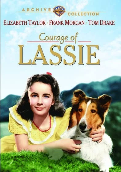 The Courage Of Lassie (DVD) Tom Drake Elizabeth Taylor Frank Morgan (US IMPORT) - Image 1 of 1